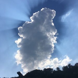 Meet your Posher, Mady